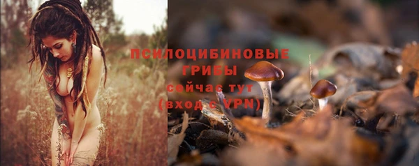mdpv Осинники