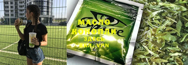 индика Тихвин