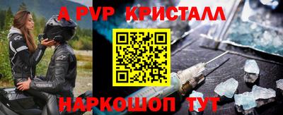 дмт Кингисепп