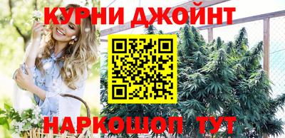 дмт Кингисепп