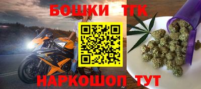 дмт Кингисепп