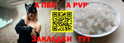 дмт Кингисепп