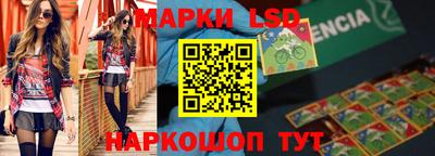 дмт Кингисепп