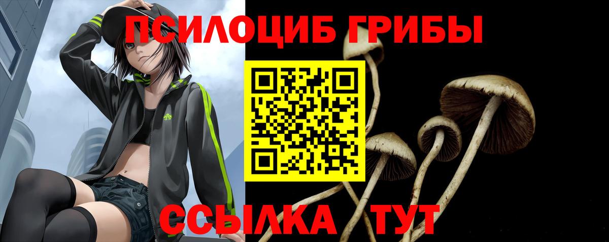 Псилоцибиновые грибы Cubensis  Вход с VPN  Северск  Галлюциногенные грибы MAGIC MUSHROOMS 