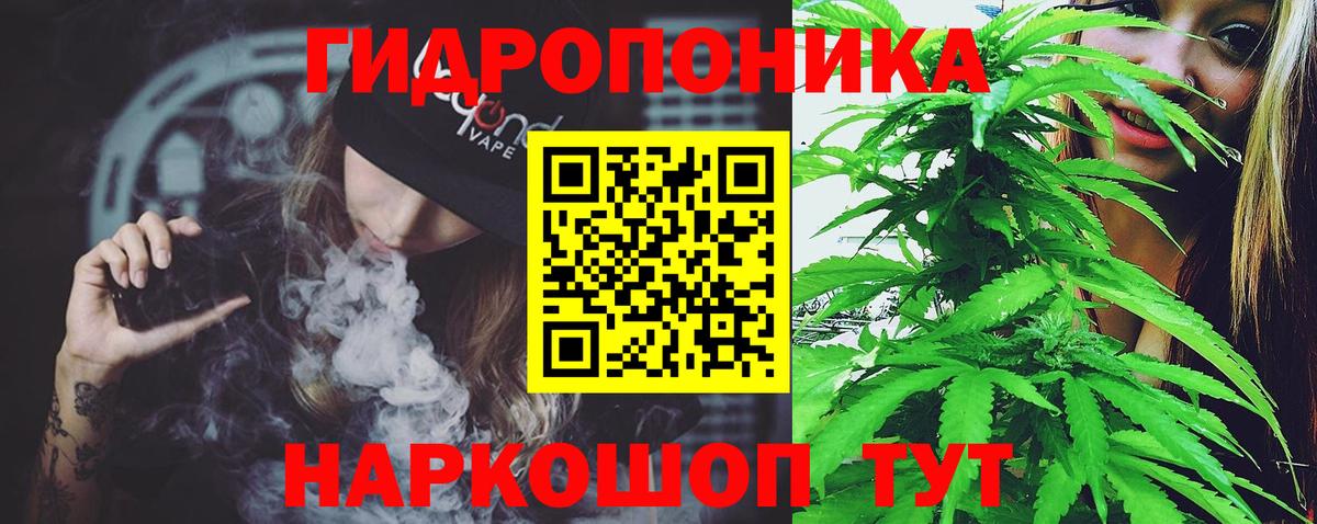 МЕФ Северск