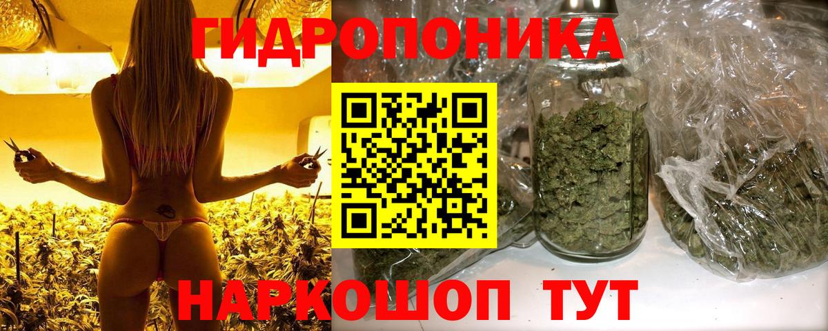 Каннабис White Widow  Конопля Amnesia  Северск  Вход с VPN  Шишки марихуана семена  МАРИХУАНА OG Kush 